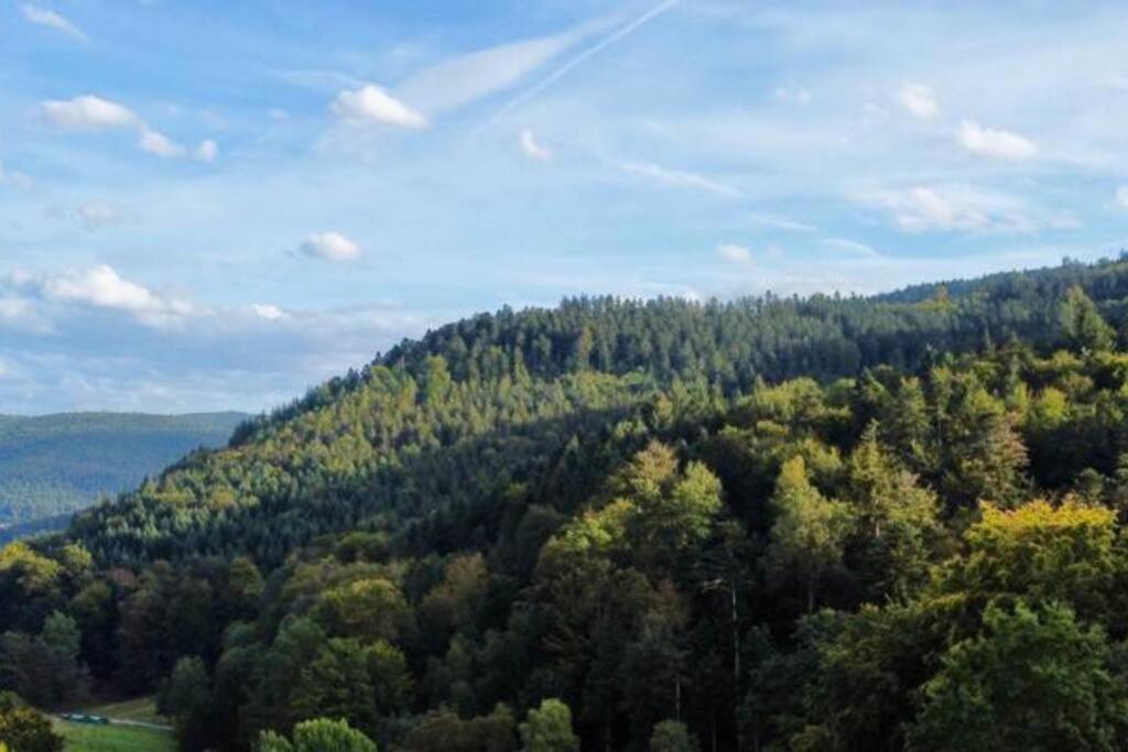 Apartmán Wohnen Im Schwarzwald Mit Panoramablick Bad Herrenalb Exteriér fotografie